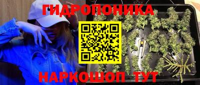 скорость Ставрополь