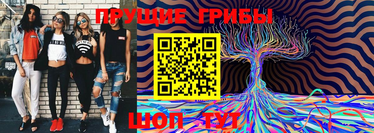 Псилоцибиновые грибы Похвистнево